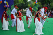 Sree Vidya Nikethan International School-Cultural Dance